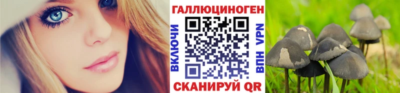 Галлюциногенные грибы MAGIC MUSHROOMS  Невьянск 